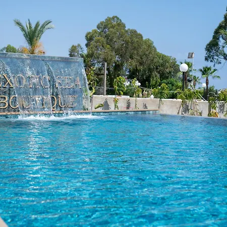 Exotic Sea Boutique Adults Only פרוטאראס